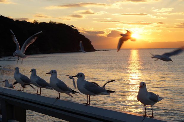 湘南の夕陽