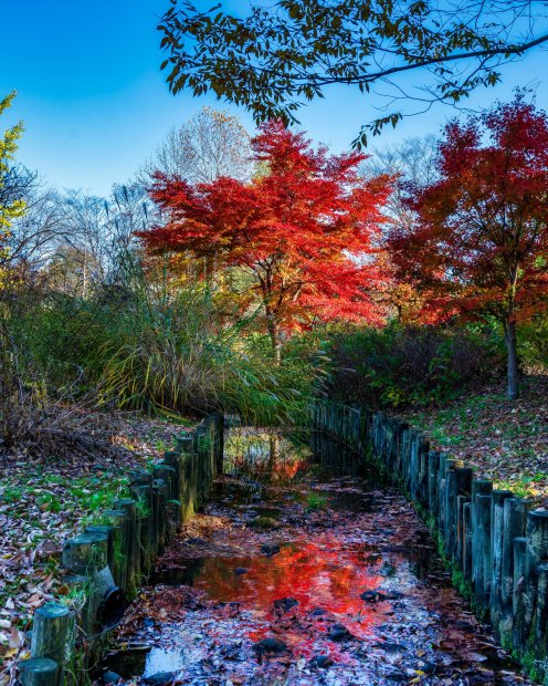 みちのく公園