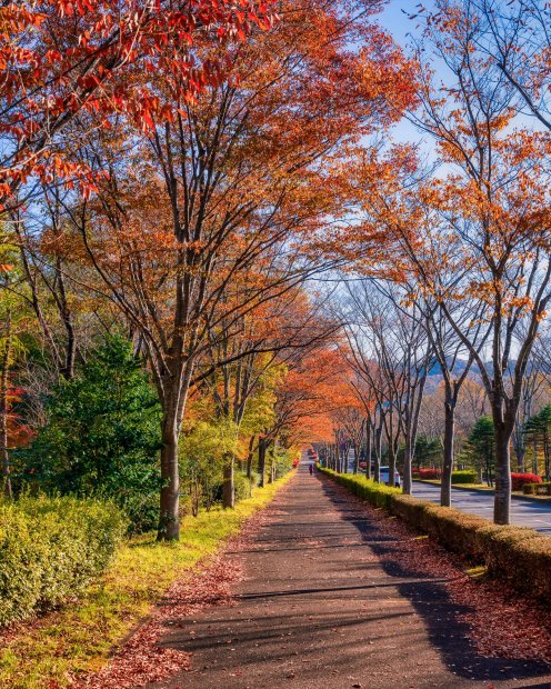 みちのく公園