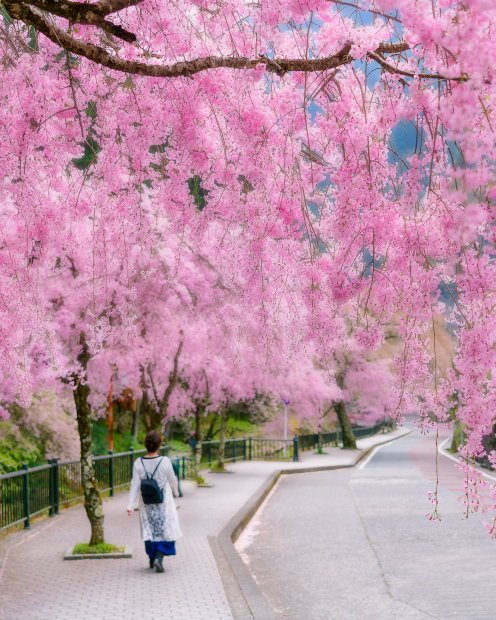 見延山久遠寺