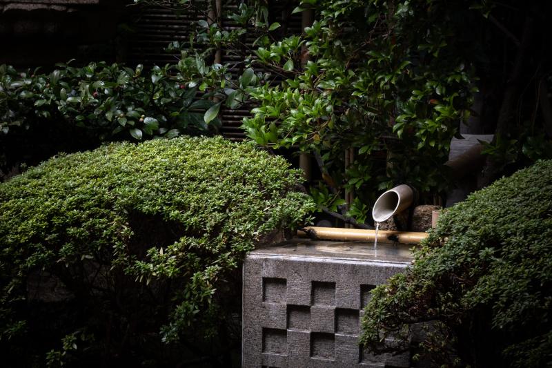 植え込みに囲まれた蹲（つくばい）の写真